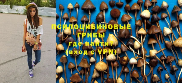 мяу мяу мука Армянск