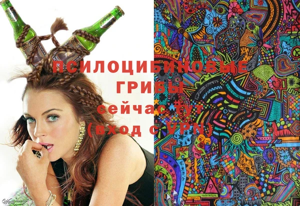 jwh Саяногорск