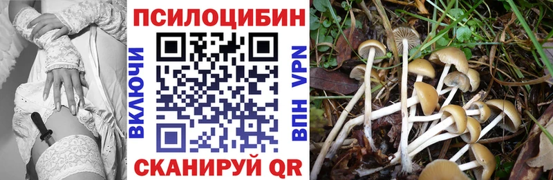даркнет сайт  Курлово  Псилоцибиновые грибы Cubensis 